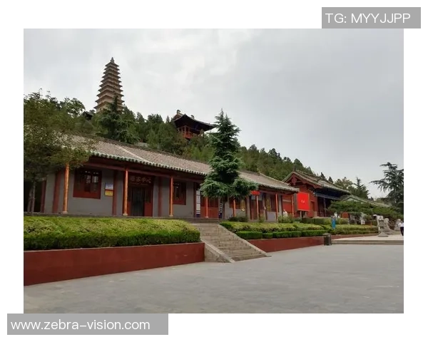 《全球足坛传奇:球星纪录片全景回顾,见证他们的辉煌与奋斗历程》 《全球足坛传奇:球星纪录片全景回顾,见证他们的辉煌与奋斗历程》