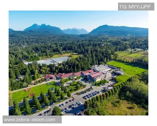 加拿大足球球星崛起：从温哥华到国际舞台的耀眼征程